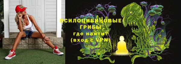 дурь Вязники