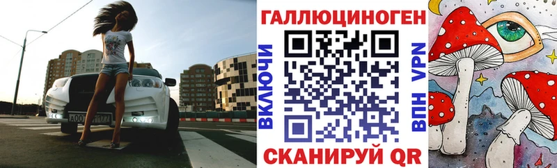 Купить закладки  Гаджиево  Псилоцибиновые грибы Psilocybe 